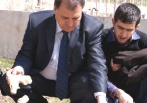 Toplu mezar şehitlik çıktı